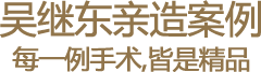 吴继东案例